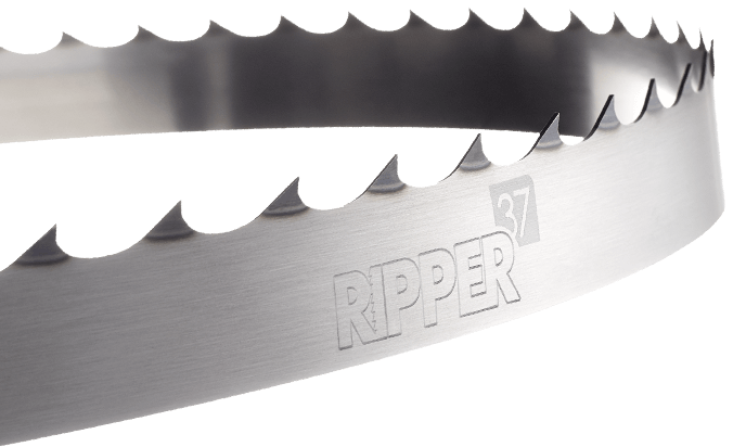 RipperS – Hlodovni tračni list